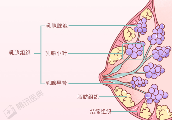 全裸服务乳房按摩视频曝光被深挖你以为的保养是在送命