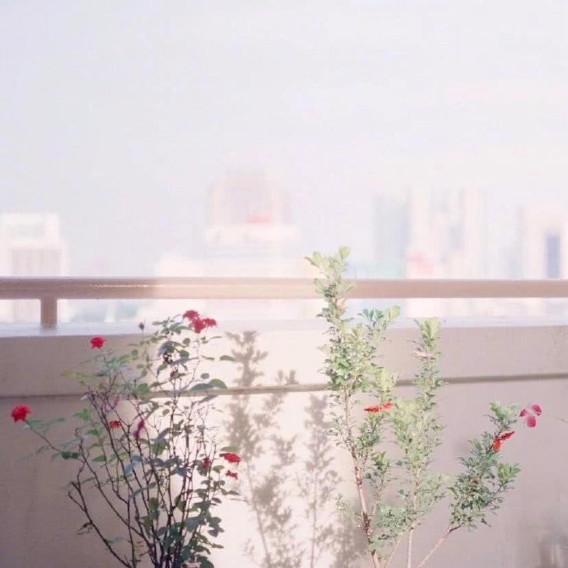 【ins温柔风背景图】我荒废的心里会一直爱你