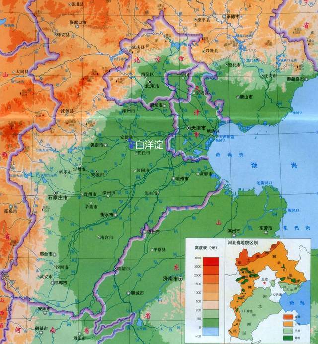 白洋淀是华北平原上最大的天然大型平原洼淀,被誉为"华北之肾"