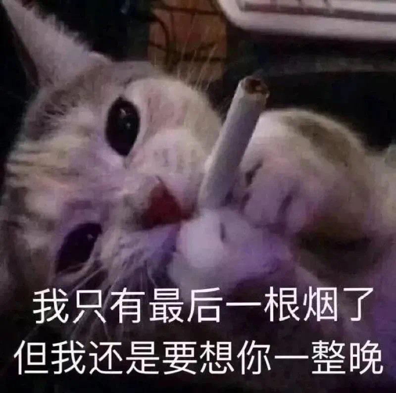 表情包:躺着要睡觉了,我不困