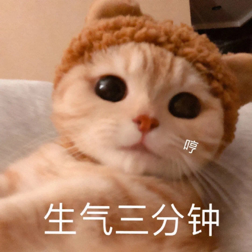 表情包:躺着要睡觉了,我不困