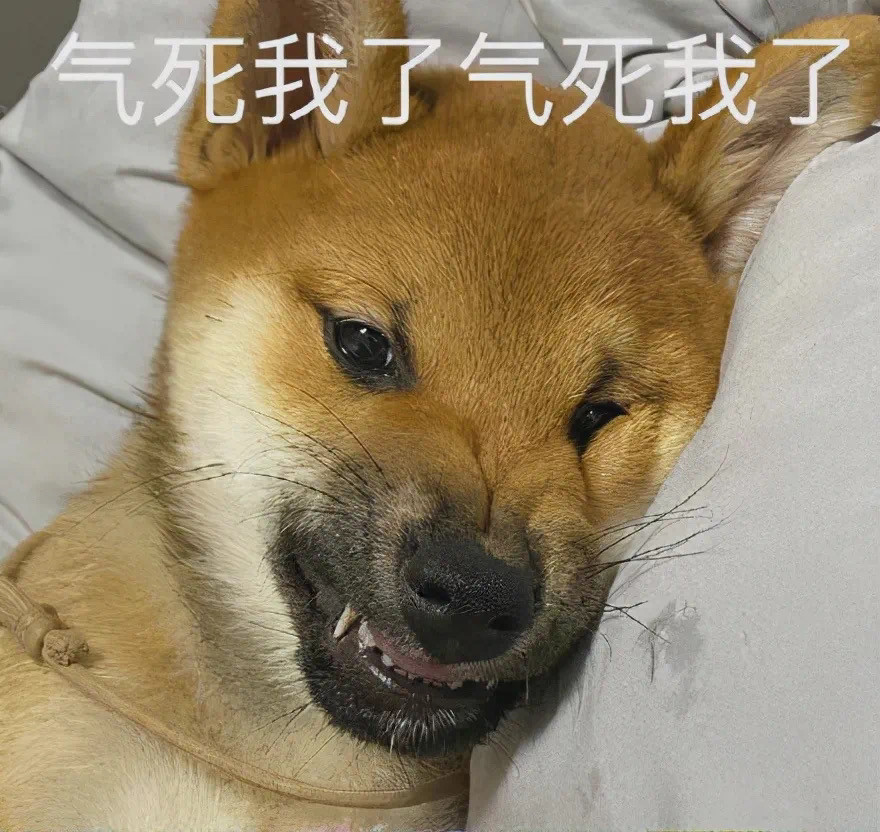 表情包:躺着要睡觉了,我不困