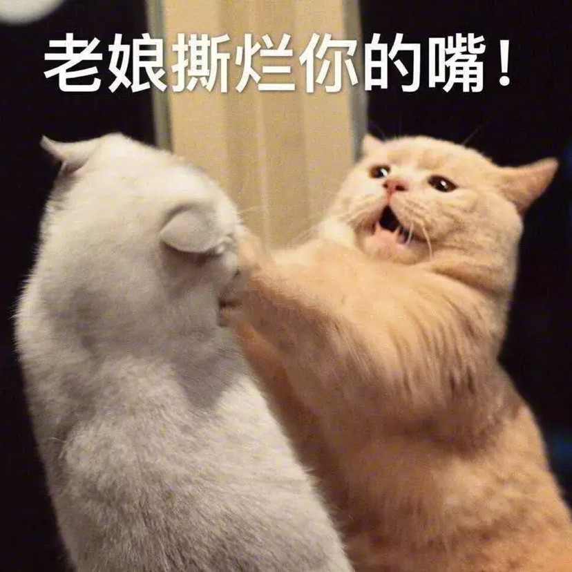 表情包:惹狼惹虎 别惹我这个小公主