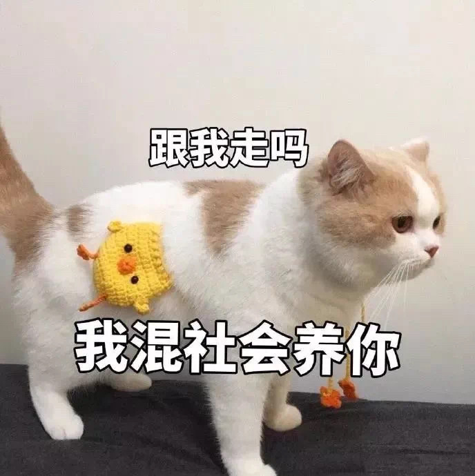 "凭实力刷到的不正经表情包"