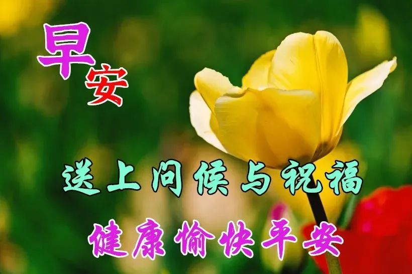 微信漂亮的早上好带字早安祝福图片,早安问候祝福语动态漂亮图片