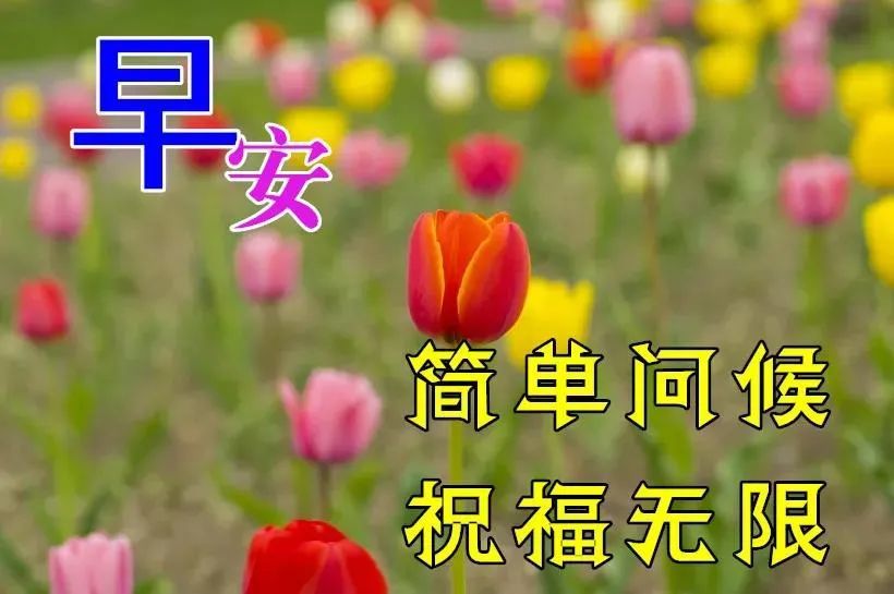 微信漂亮的早上好带字早安祝福图片,早安问候祝福语动态漂亮图片