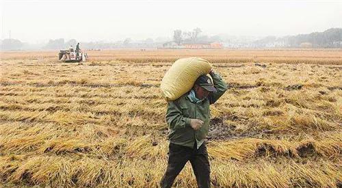 人类在进化还是退化?80年代农民能肩扛400斤,现在咋不行了