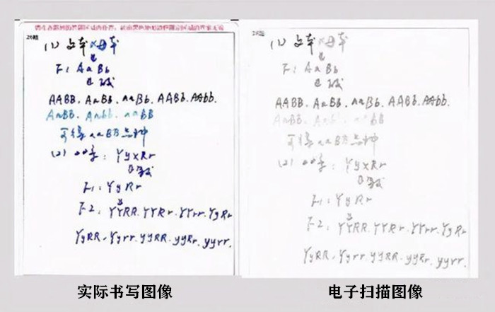 答题卡扫描后是什么样子?考生填写时要仔细,高考争取能多拿分