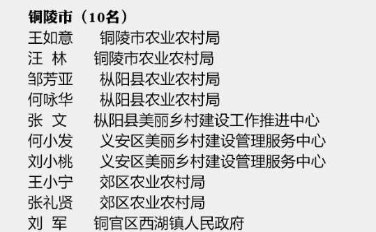 铜陵这些单位和个人全省通报表扬!