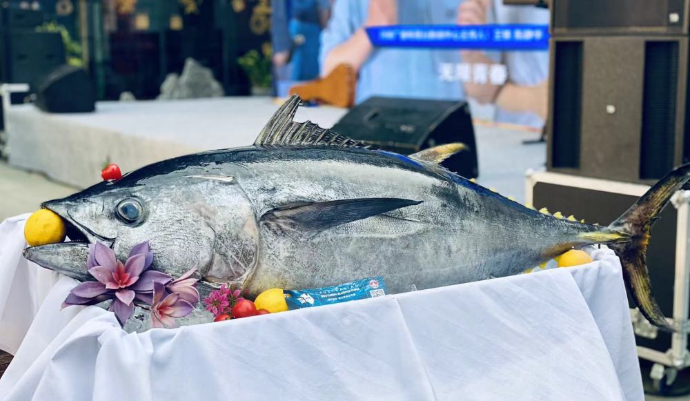 弥·割烹料理海吃节:美不可挡的蓝鳍金枪鱼开鱼盛筵