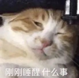 刚睡醒表情包,刚刚睡醒,这次又是什么瓜