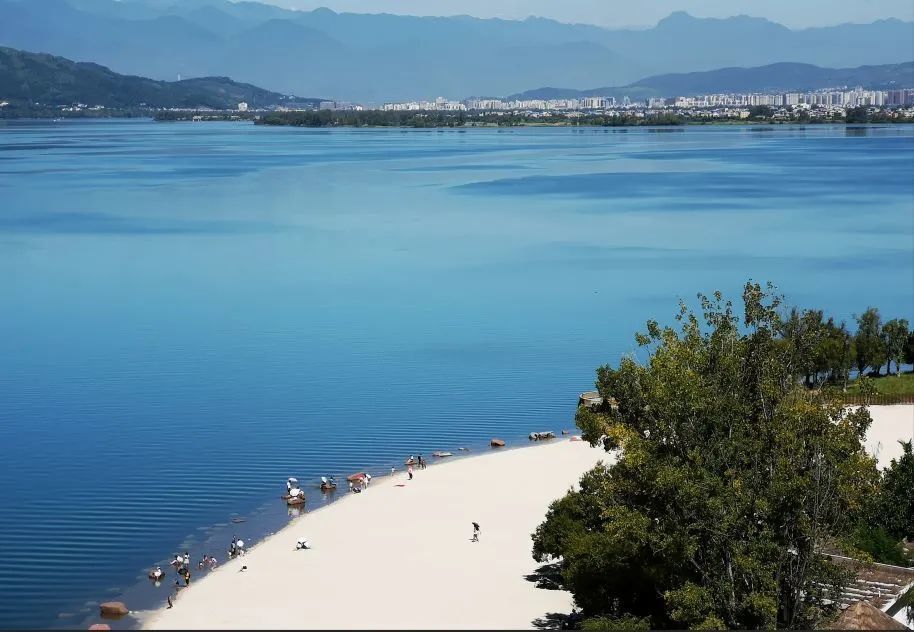 七彩西昌|初夏,来邛海湿地寻觅幸福的颜色