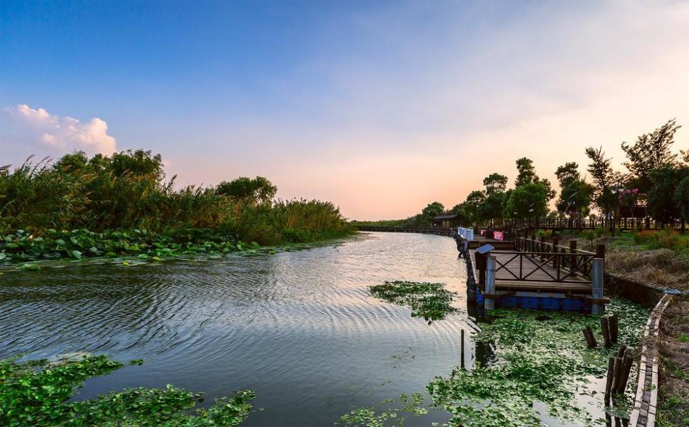 周末去苏州阳澄湖旅游,欣赏湖光美色美景!