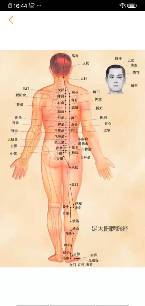 超级有效,快速缓解后背疼痛
