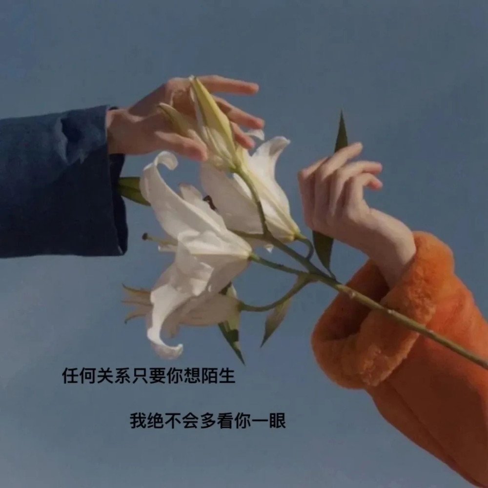 文字背景|究竟要多温柔 才配得上你的偏爱和例外