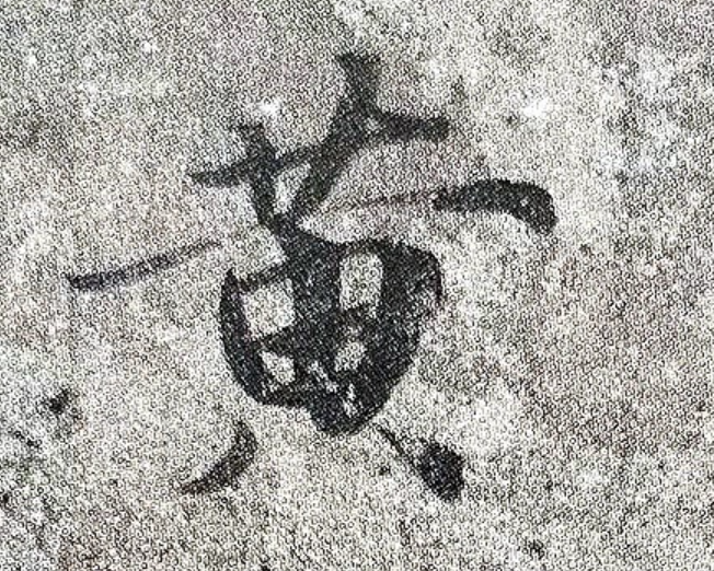 1000
