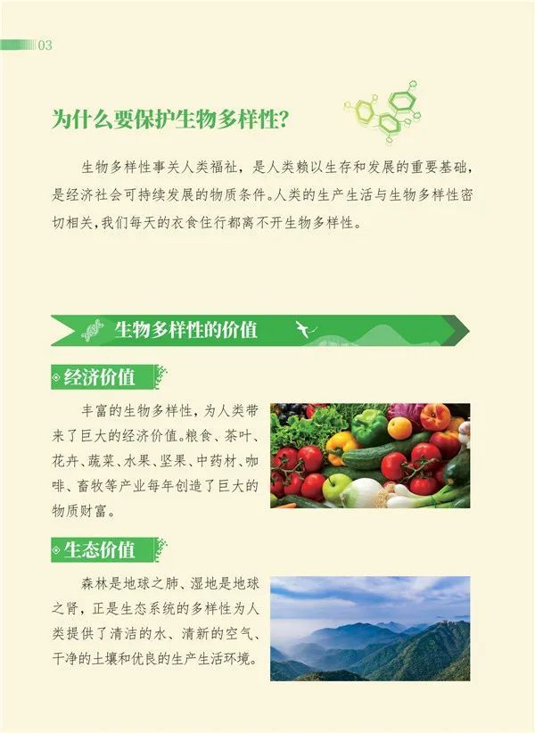 关于cop15 你想知道的小百科这本手册里都有