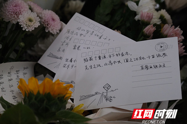 稻禾什么成语_禾稻(5)