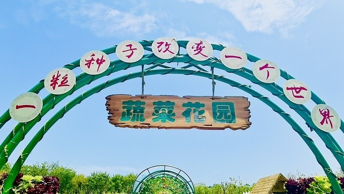 当可以食用的蔬菜排列组合成了一片漂亮的"景观",算是花园还是菜园?
