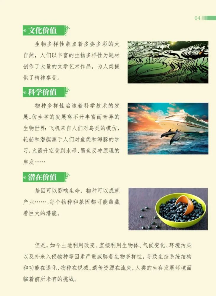 联合国《生物多样性公约》 第十五次缔约方大会 (cbd cop15) 将在昆明