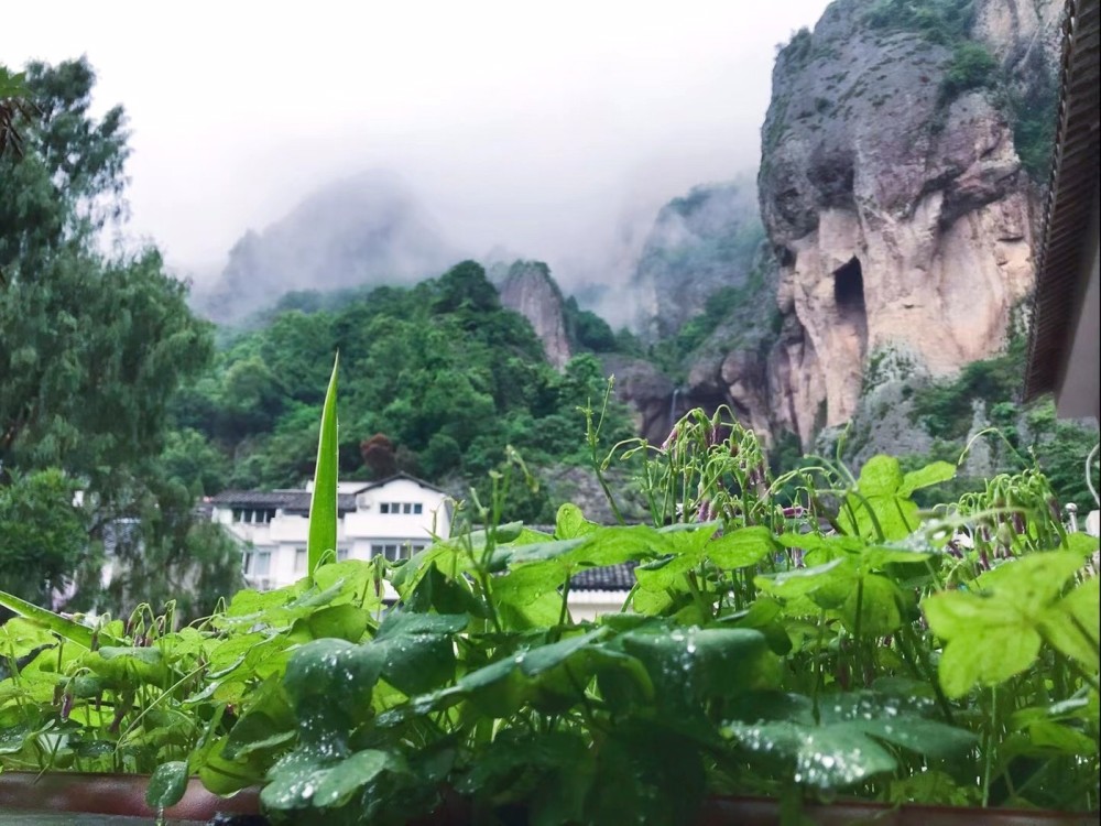 灵峰山脚下,大龙湫的溪畔