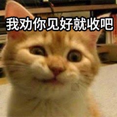 表情包:我劝你见好就收吧