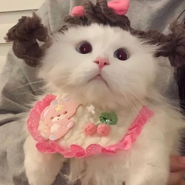 可爱女生头像