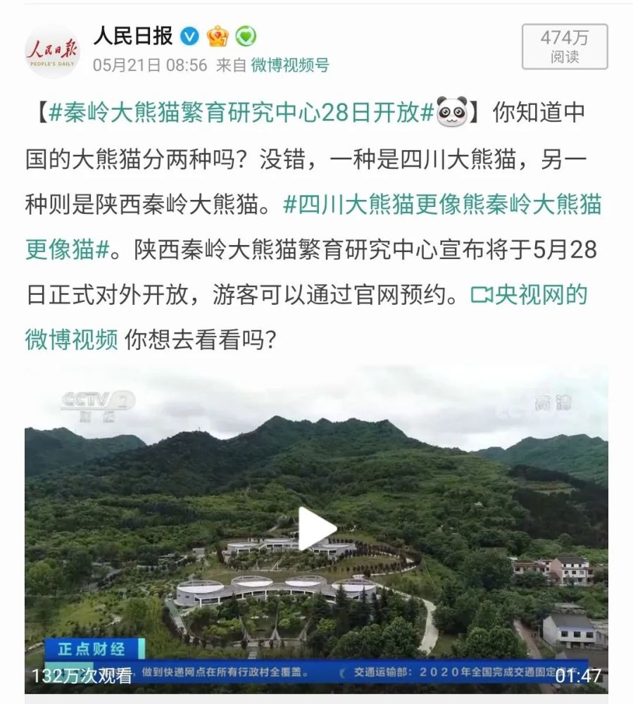 西安秦岭大熊猫28号开园亮相"撸猫"攻略请查收!
