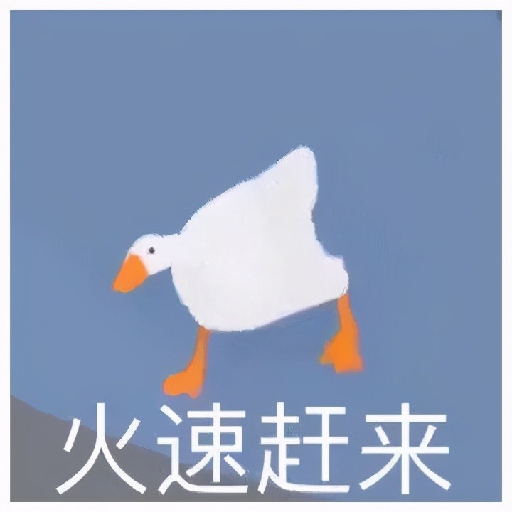 暴躁大鹅表情包在线怼人!这波你学废了没?