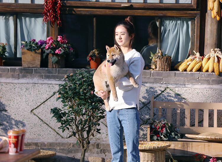 组图-谢娜赵丽颖再合体 穿姐妹衫感情好