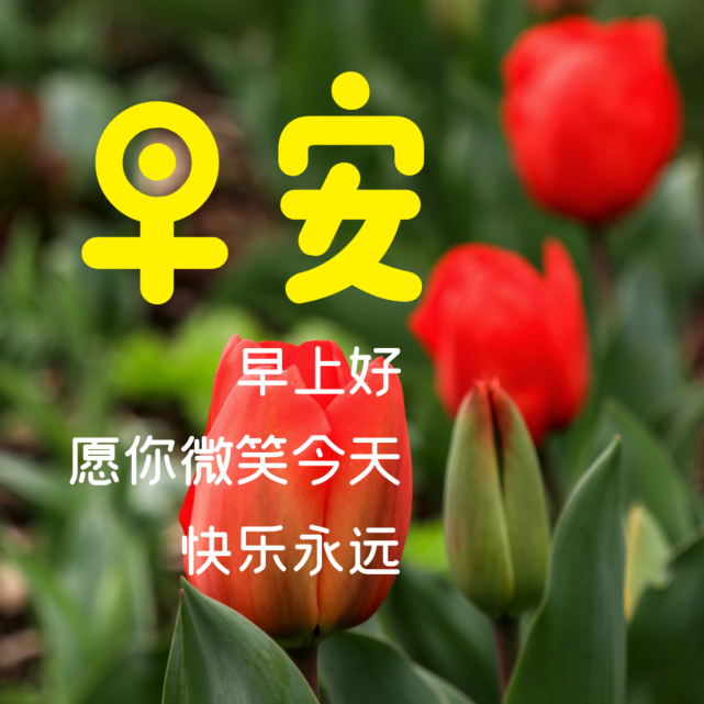 5月24日早上好|每日问候