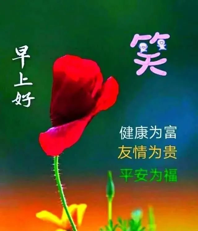 早上好温馨问候祝福语表情图片大全微信早上好暖心祝福语动态图片