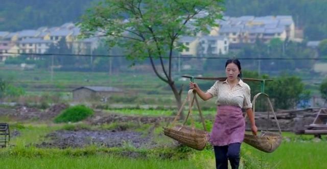 23岁成单亲妈妈,今身价超千万,乡愁沈丹:受过伤的女人,更努力