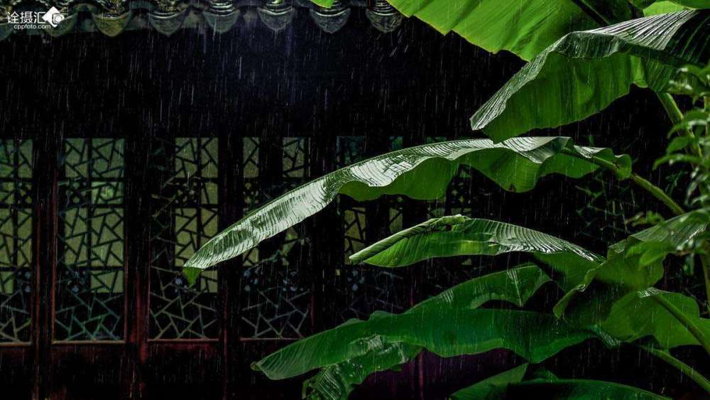 艺术中国流光容易把人抛红了樱桃绿了芭蕉