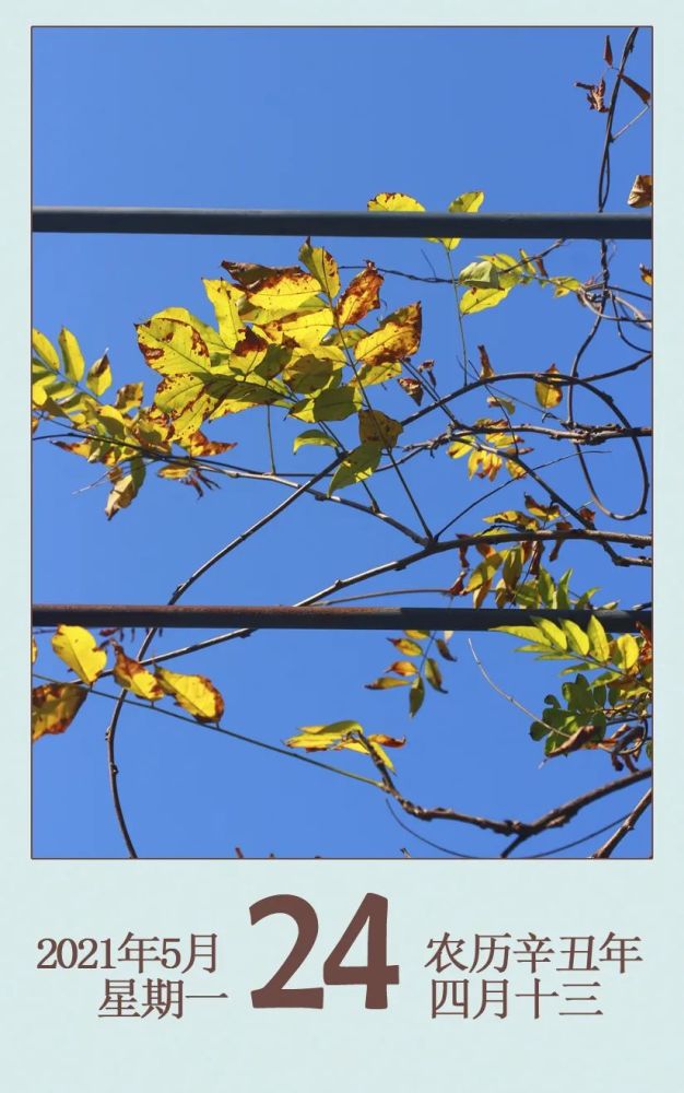 五月二十日 腾讯网