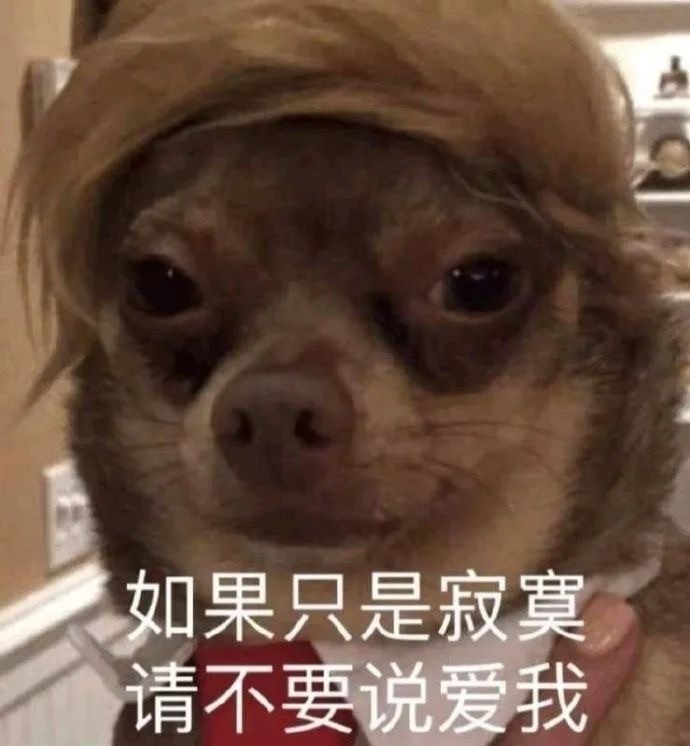 搞怪表情包:有人建议我靠脸吃饭