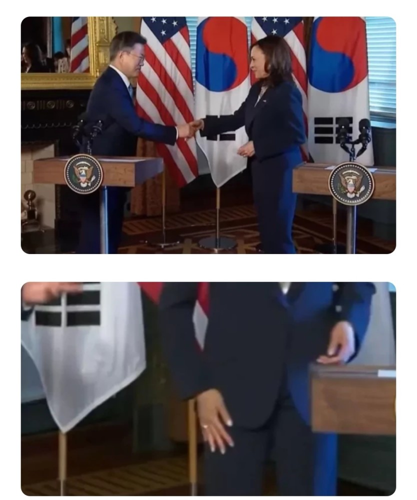 美国副总统哈里斯和韩国总统文在寅握手后在裤子上擦手!
