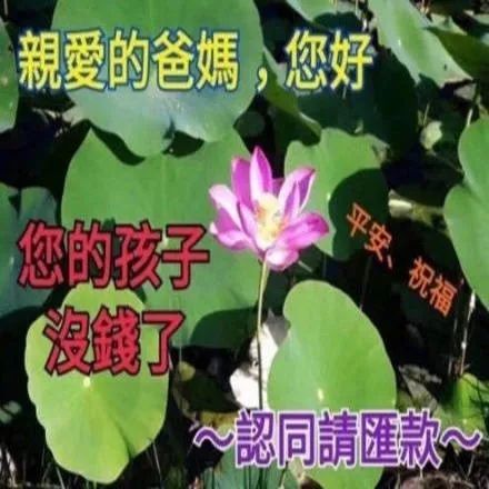 表情包:向爸妈讨生活费表情包