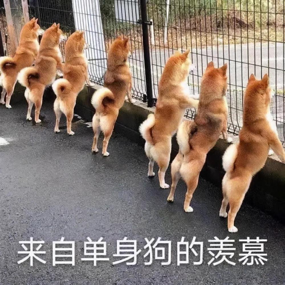 搞笑表情包,用过的都脱单了