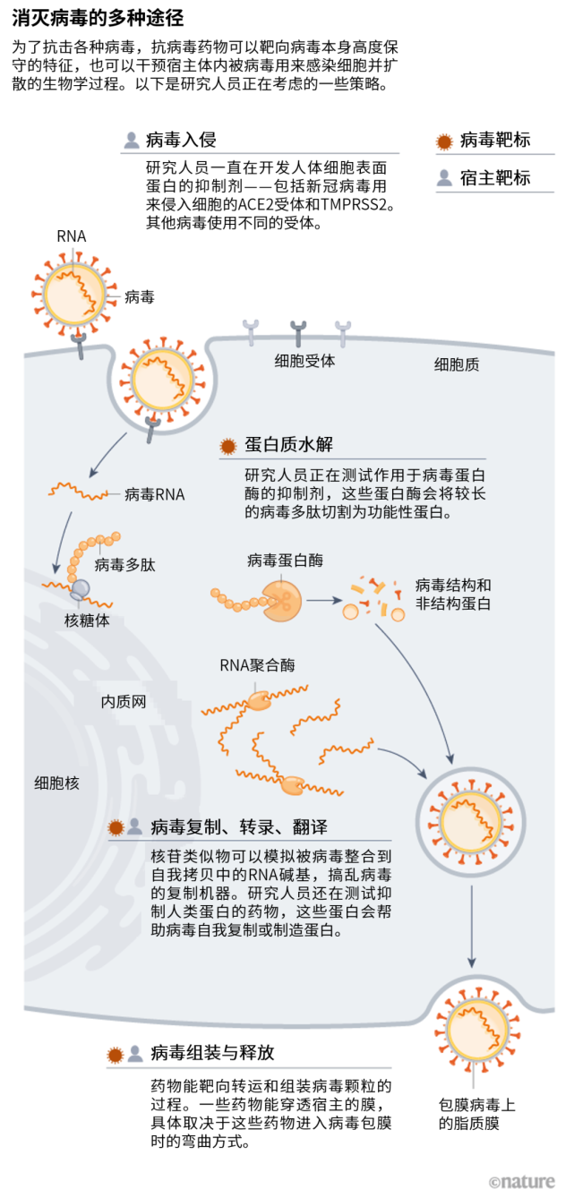 sars没能逼出来的抗病毒药物能在新冠疫情中研发成功吗《自然》特写