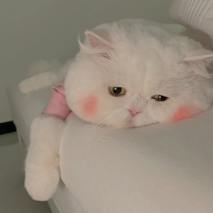 动物情侣头像