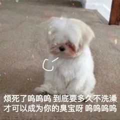 恶搞表情要多久不洗澡才能成为你的臭宝