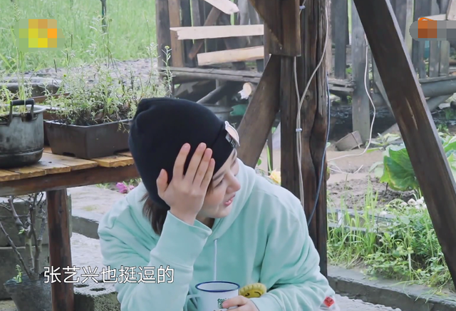杨紫夸张艺兴"挺逗",还劝他改微博名,小绵羊下意识反应抢镜!