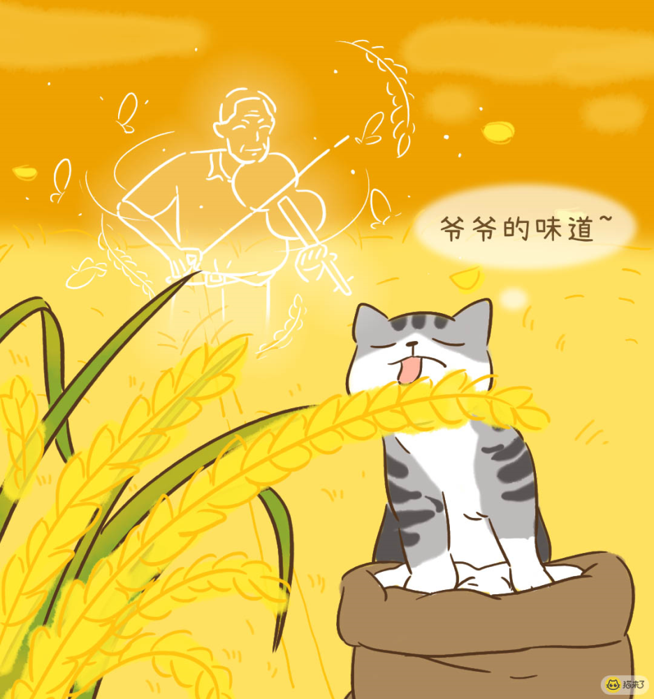 泪目!袁隆平爷爷走了,他的猫袁花花还没长大