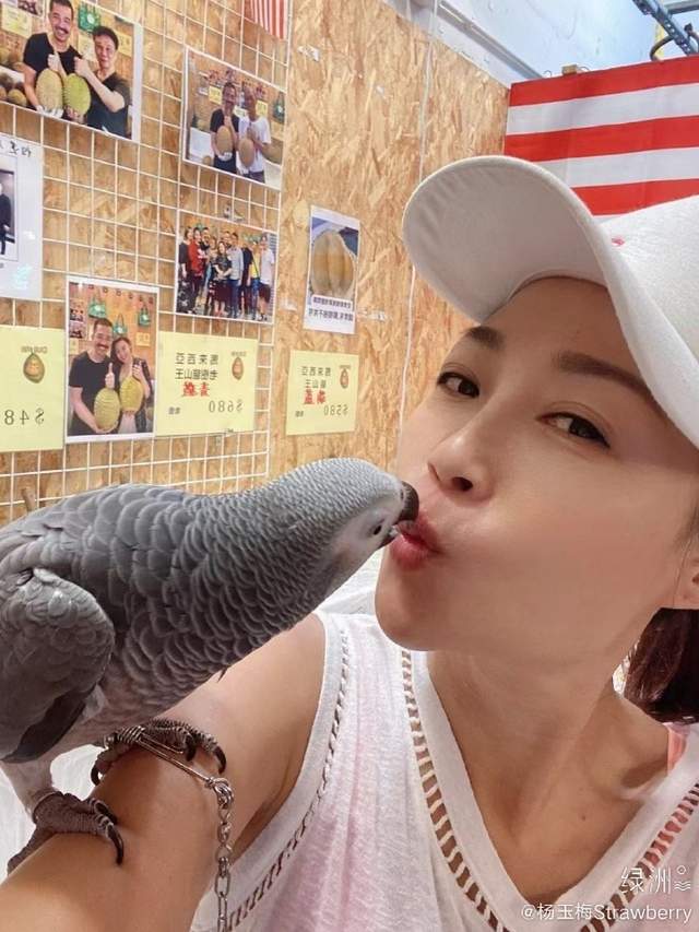 5月23日深夜,前亚姐季军杨玉梅在其个人社交平台贴出一张与鹦鹉亲吻