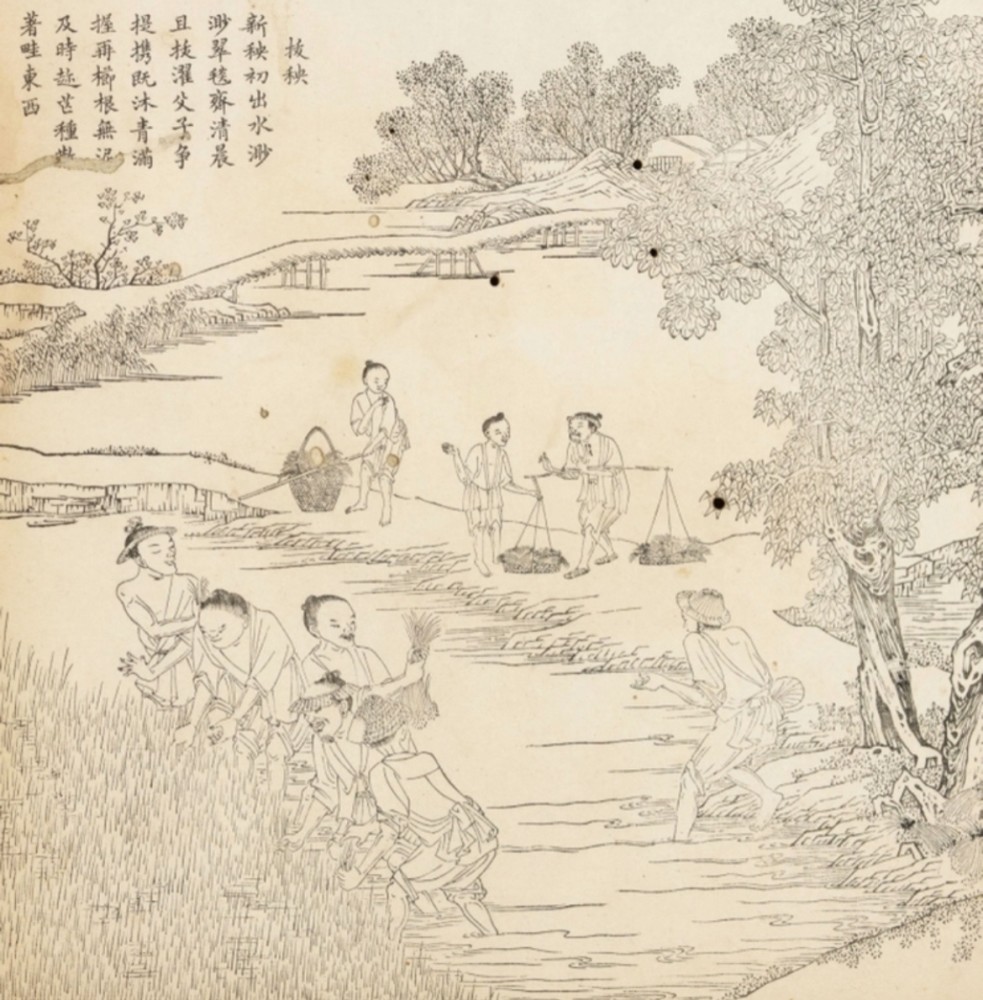 楼璹《耕织图》