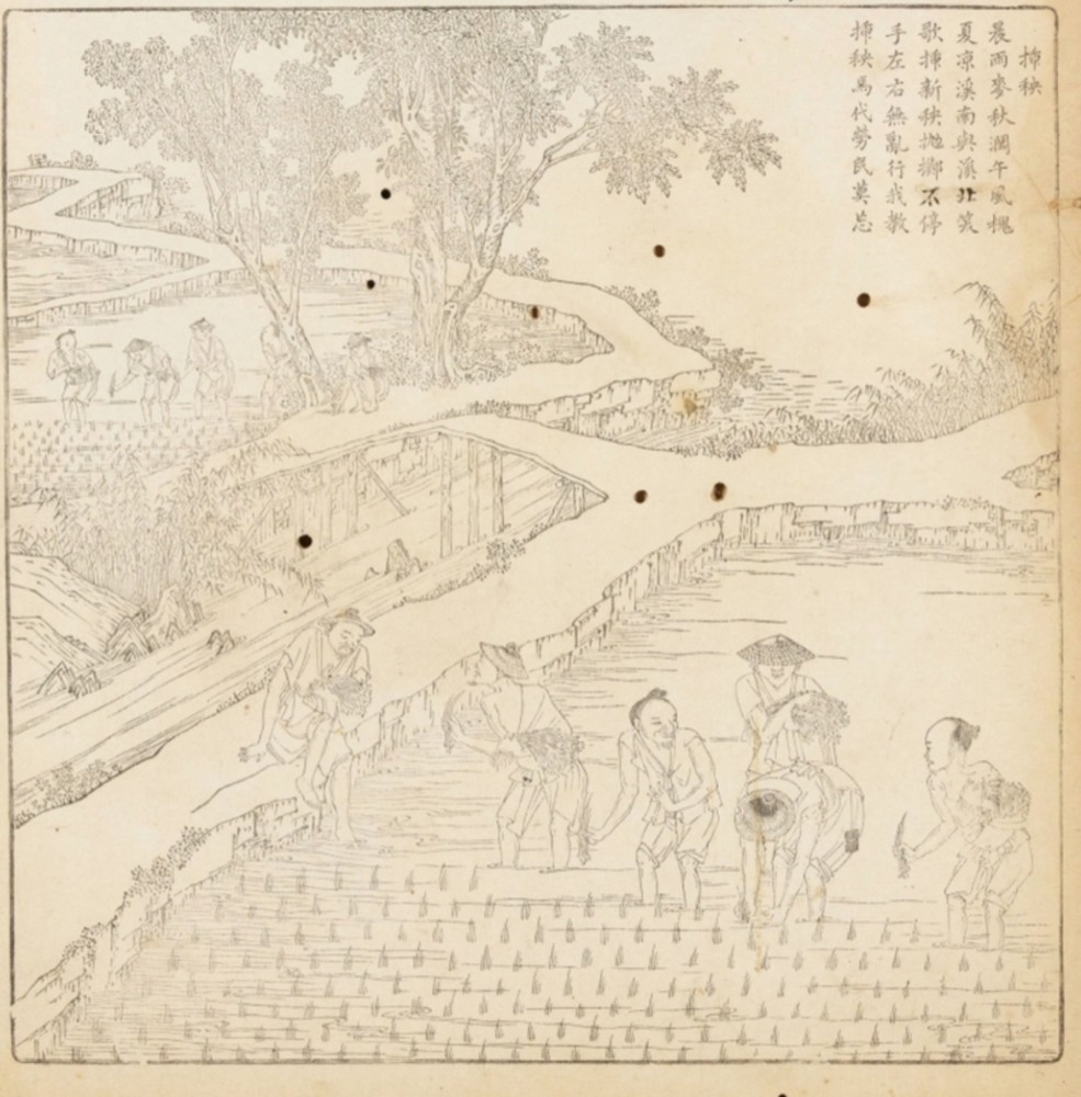 楼璹《耕织图》