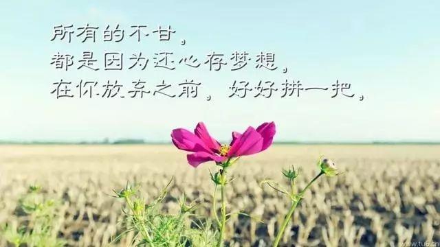 朋友圈精辟的现实感悟句子,句句经典!