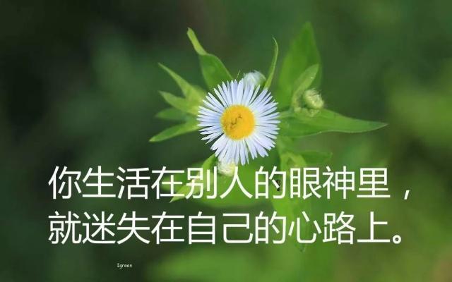 适合发朋友圈的经典人生感悟句子心情说说句句真金