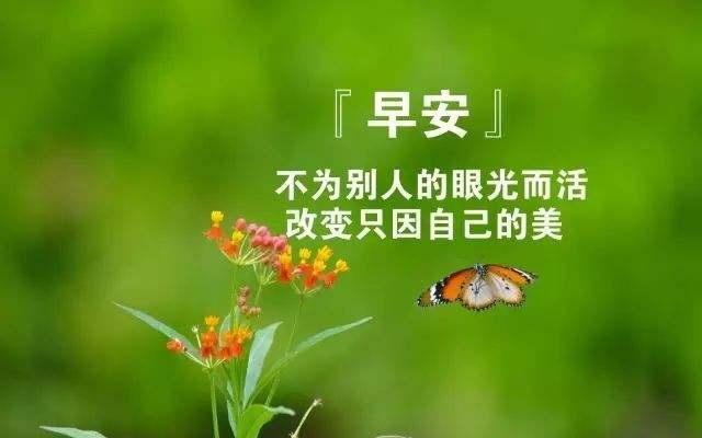 朋友圈触动心灵的早安说说,唯美正能量